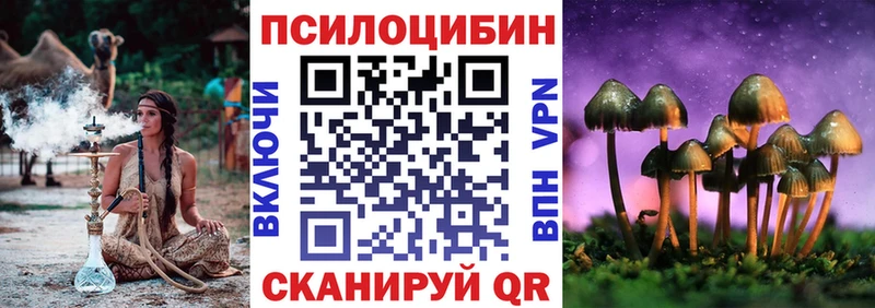 МЕГА как войти  Североморск  Псилоцибиновые грибы Psilocybe 