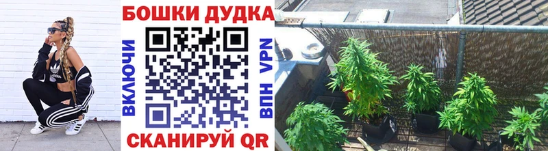 МАРИХУАНА конопля  Североморск 